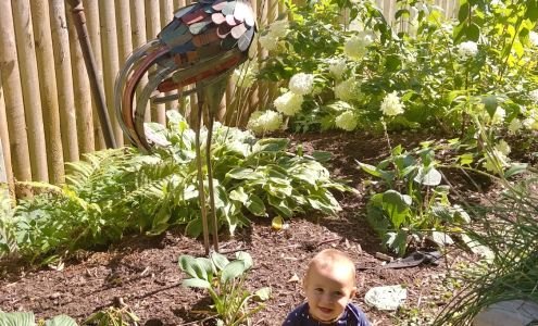Artful Gardener LLC business photo